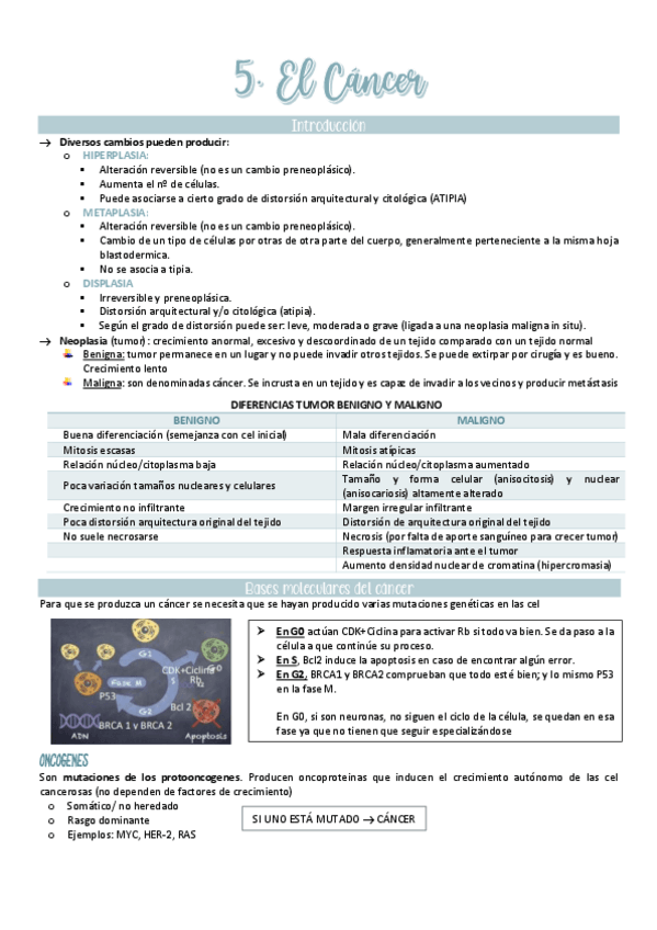 Miniatura del documento El-cancer.pdf