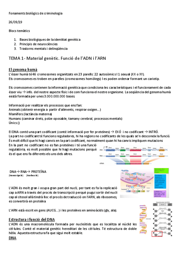 Miniatura del documento TEMA-1-Material-genetic.-Funcio-de-lADN-i-lARN.pdf