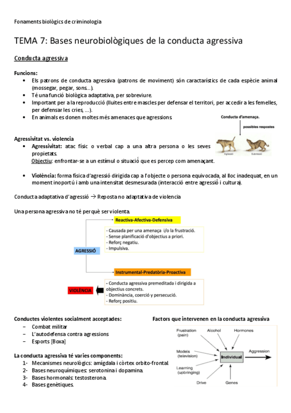 Miniatura del documento TEMA-7-Bases-neurobiologiques-de-la-conducta-agressiva.pdf