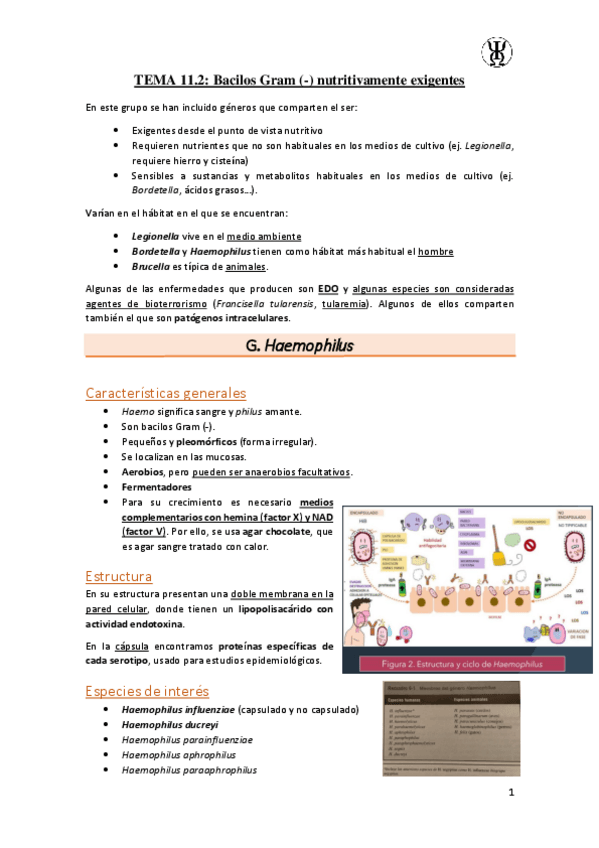 Miniatura del documento T11.2Bacilos-Gram---nutritivamente-exigentes.pdf