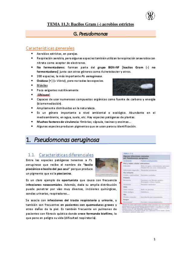 Miniatura del documento T11.3Bacilos-Gram---aerobios-estrictos.pdf
