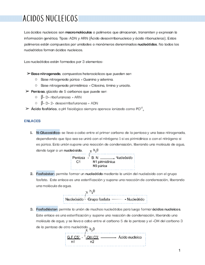 Miniatura del documento BIO-TEMA-5-6-7-y-8.pdf