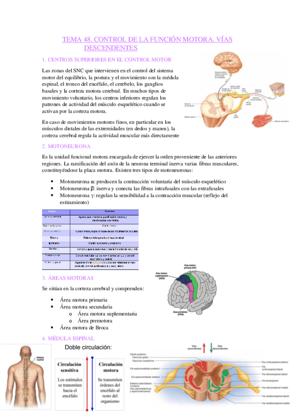 Miniatura del documento TEMA-48.pdf