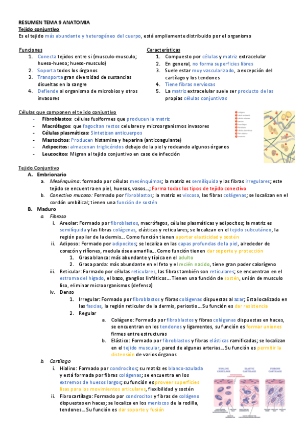 Miniatura del documento RESUMEN-TEMA-9-ANATOMIA.pdf