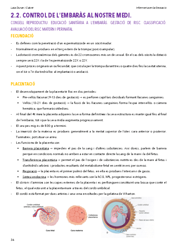 Miniatura del documento 2.2.Controlembaras.pdf