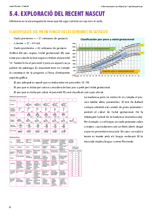 Miniatura del documento 5.4.Exploraciorecentnascut.pdf