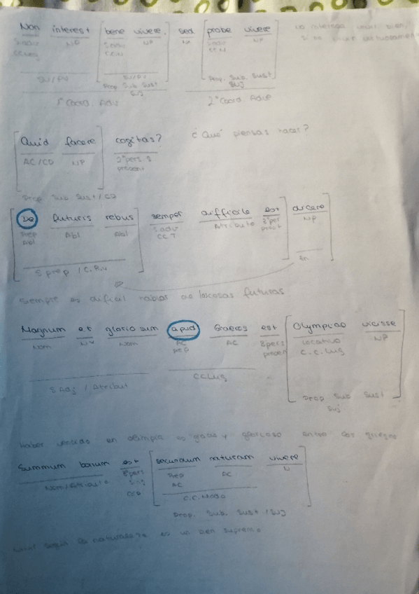 Miniatura del documento Frases-latin.pdf