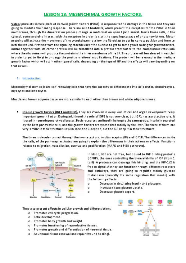 Miniatura del documento Lesson 13.pdf