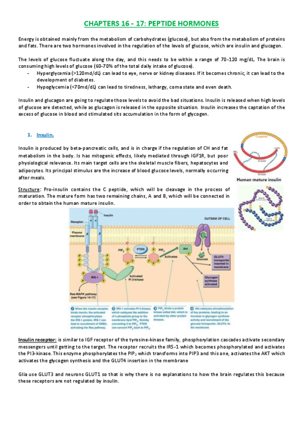 Miniatura del documento Lesson 16- 17.pdf