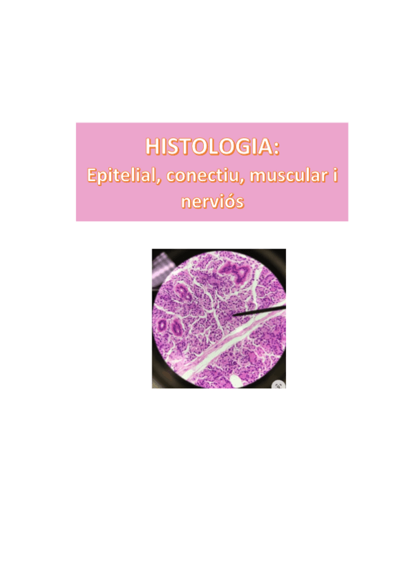 Miniatura del documento Histologia-1-parcial.pdf