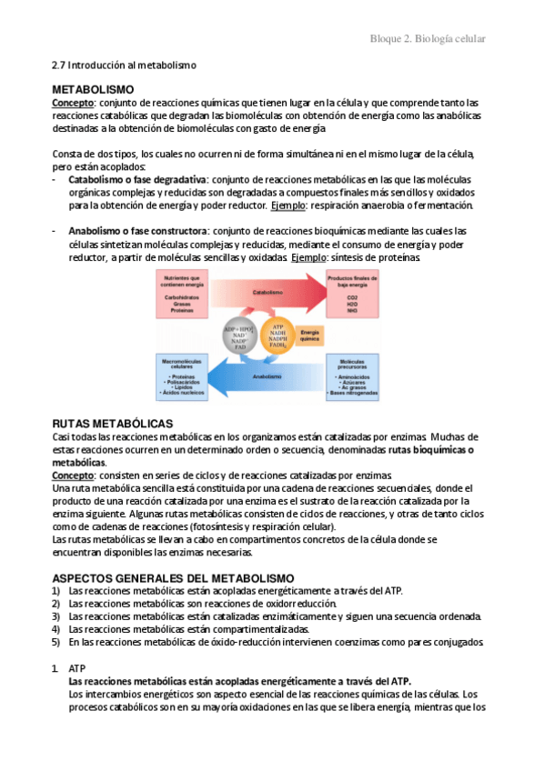 Miniatura del documento 2.7-Introduccion-al-metabolismo.pdf