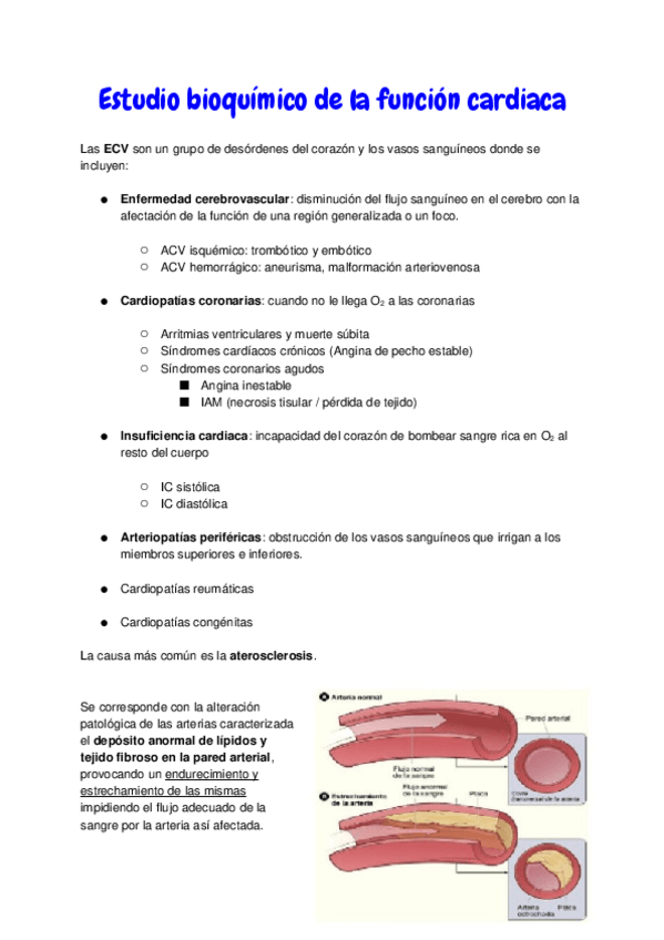 Miniatura del documento 6.-Funcion-cardiaca.docx