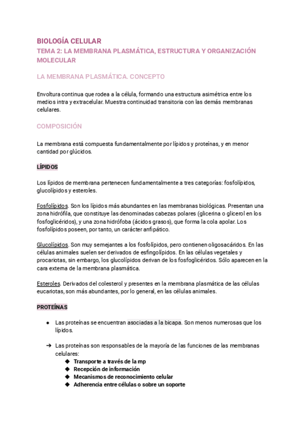 Miniatura del documento TEMA-2.pdf