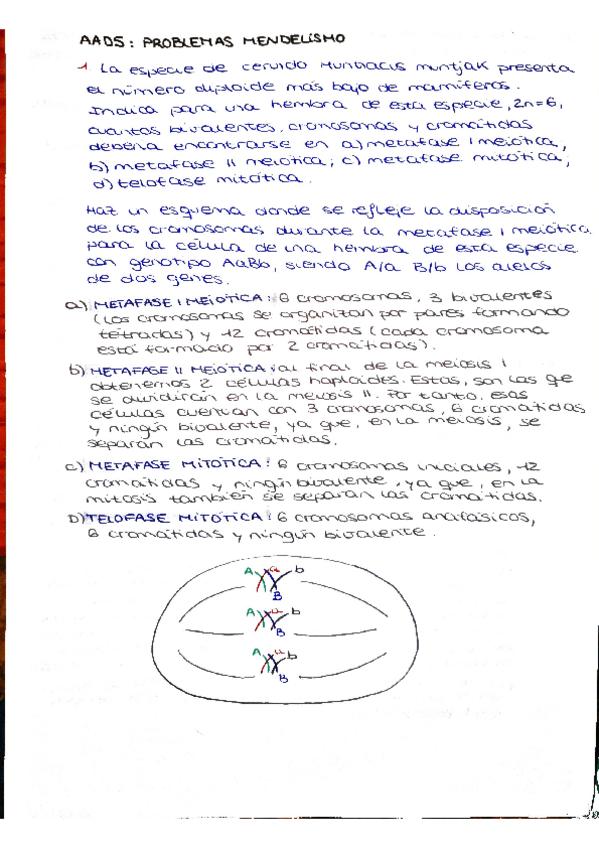 Miniatura del documento PROBLEMAS-MENDELISMO-RESUELTOS.pdf