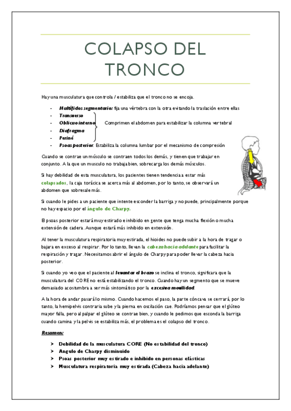 Miniatura del documento Santapau-22-23.pdf