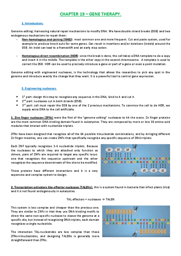 Miniatura del documento Lesson 19.pdf