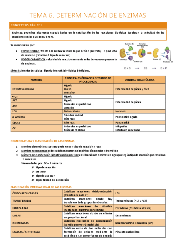 Miniatura del documento TEMA 6. DETERMINACIÓN DE ENZIMAS.pdf