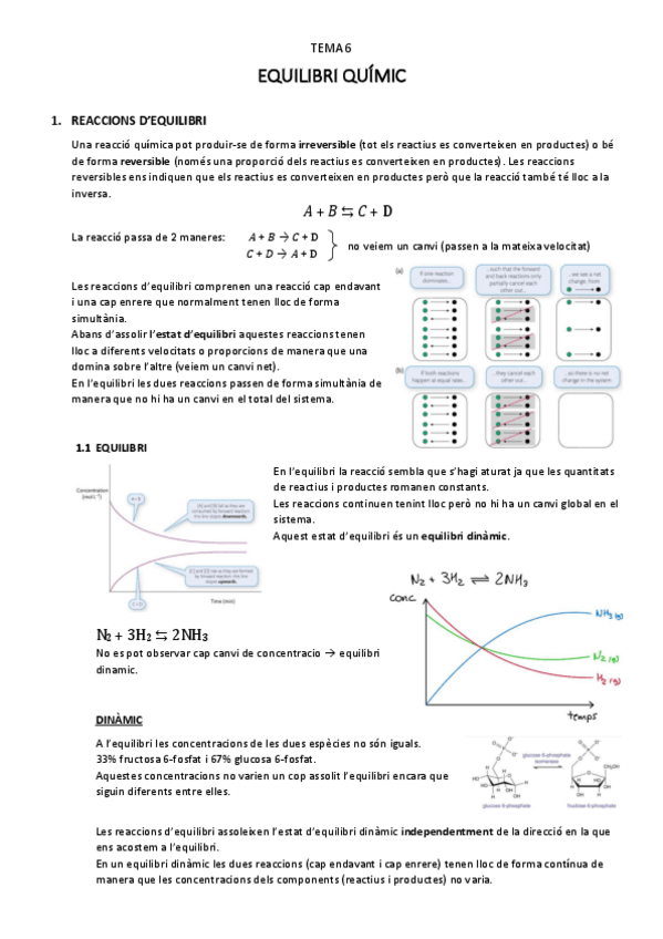 Miniatura del documento equilibri-quimic-T.6.pdf