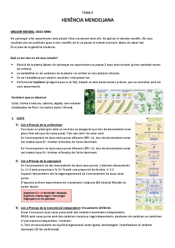 Miniatura del documento herencia-mendeliana-T.3.pdf