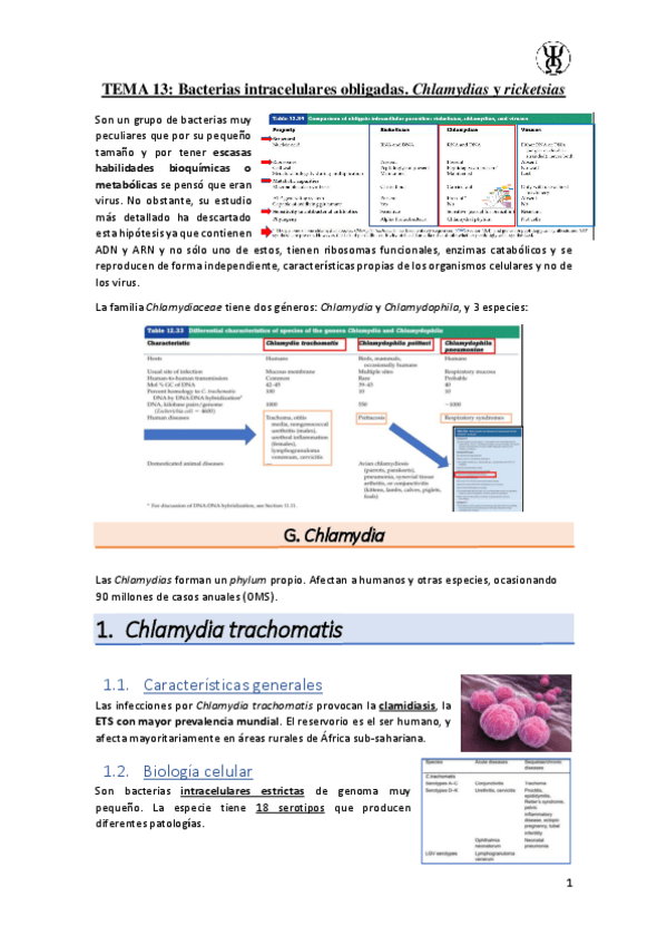 Miniatura del documento T13Bacterias-intracelulares-obligadas.-Chlamydias-y-ricketsias.pdf