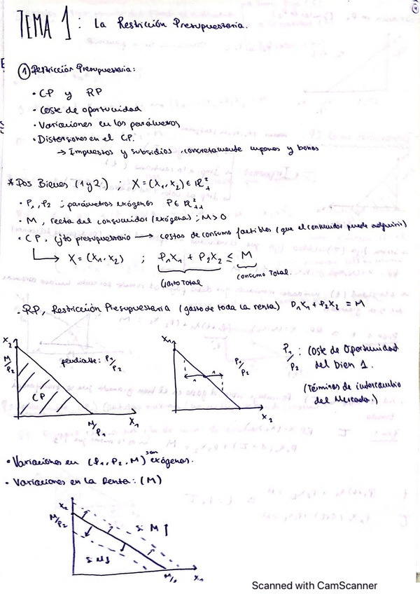 Miniatura del documento MICRO-II-T1-la-restriccion-presupuestaria.pdf