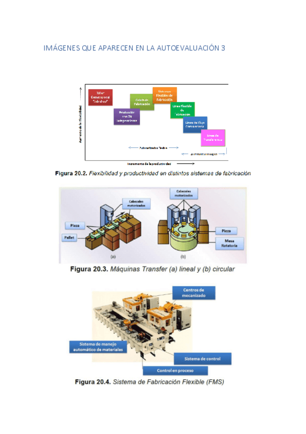 Miniatura del documento IMAGENES-AUTOEVALUACION-3.pdf