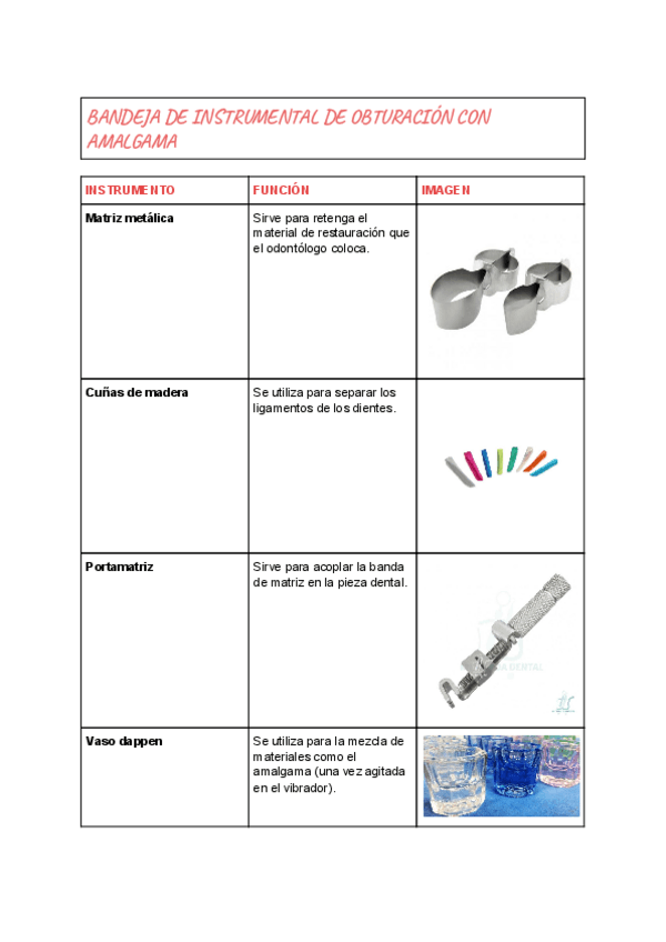 Miniatura del documento INSTRUMENTAL-DENTAL-6.pdf
