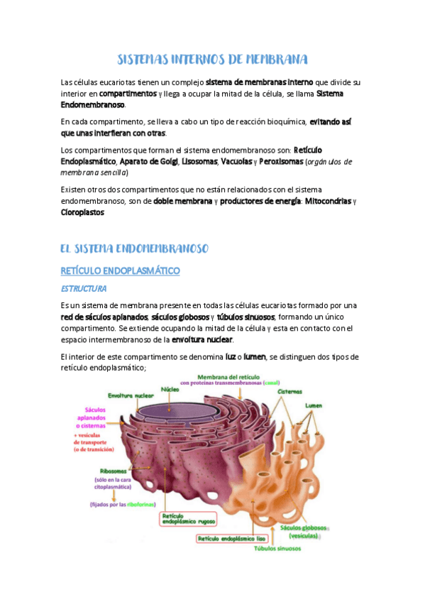 Miniatura del documento SISTEMAS-INTERNOS-DE-MEMBRANA.pdf