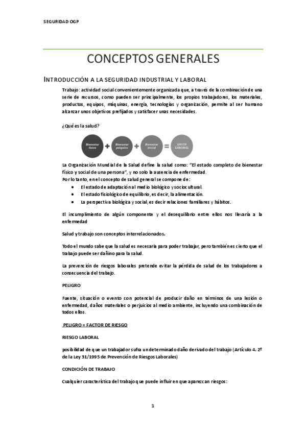 Miniatura del documento APUNTES-SEGURIDAD.pdf