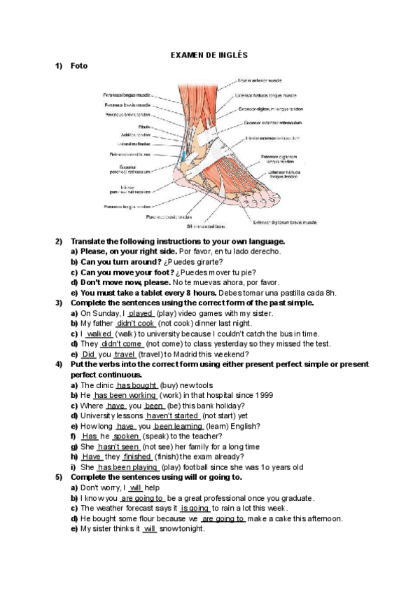 Miniatura del documento POSIBLE-EXAMEN-DE-INGLES.pdf