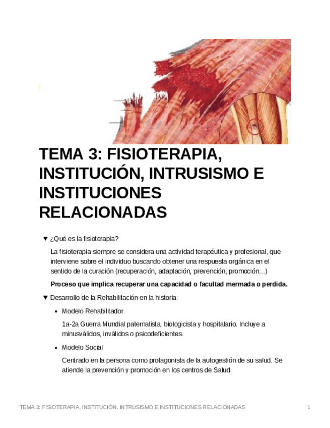 Miniatura del documento TEMA-3-FISIOTERAPIA-INSTITUCION-INTRUSISMO-E-INSTITUCIONES-RELACIONADAS.pdf