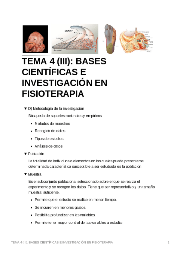 Miniatura del documento TEMA-4-III-BASES-CIENTIFICAS-E-INVESTIGACION-EN-FISIOTERAPIA.pdf
