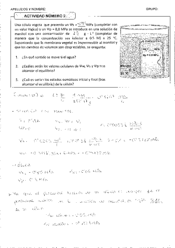 Miniatura del documento ACTIVIDAD 2 FV- JUAN MANUEL CABA BARRIENTOS.pdf