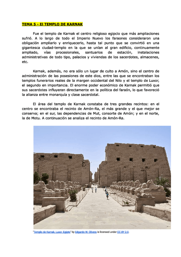 Miniatura del documento TEMA-5-EL-TEMPLO-DE-KARNAK-HAAEPO.pdf