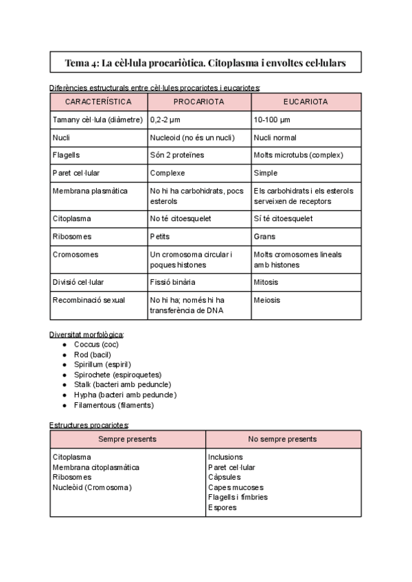Miniatura del documento Tema-4-La-cellula-procariotica.-Citoplasma-i-envoltes-cellulars.pdf