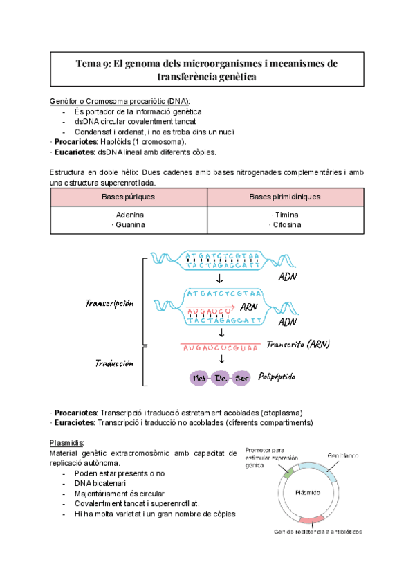 Miniatura del documento Tema-9-El-genoma-dels-microorganismes-i-mecanismes-de-transferencia-genetica.pdf