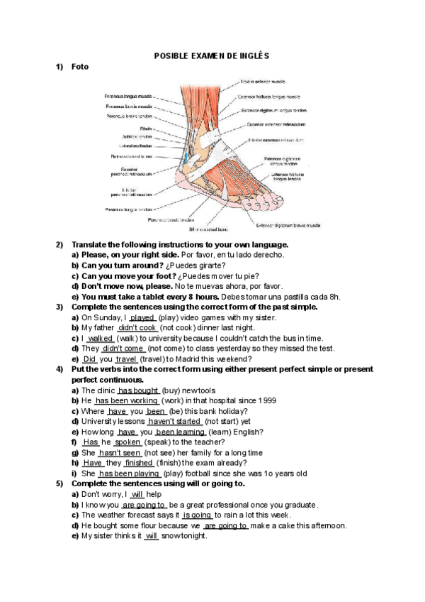 Miniatura del documento POSIBLE-EXAMEN-DE-INGLES.pdf