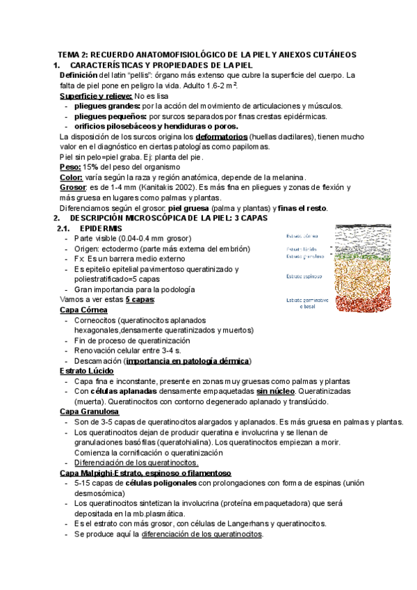 Miniatura del documento TODO-QUIRO.pdf