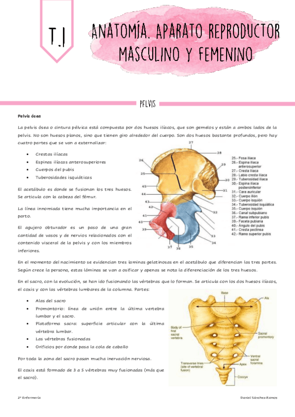 Miniatura del documento Tema-1.pdf