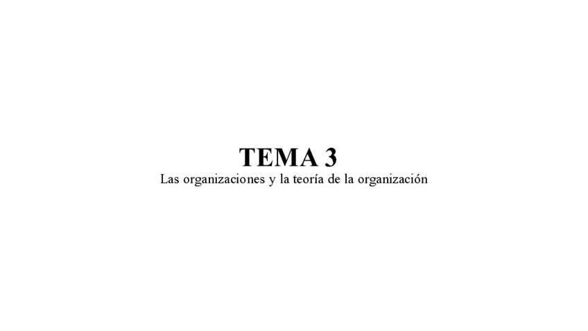 Miniatura del documento Tema-3-organizacion-de-empresas.pdf