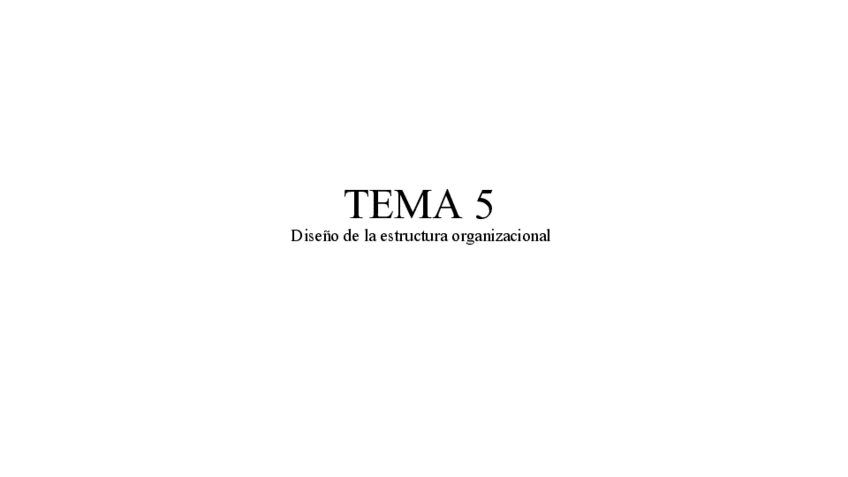 Miniatura del documento Tema-5-organizacion-de-empresas.pdf