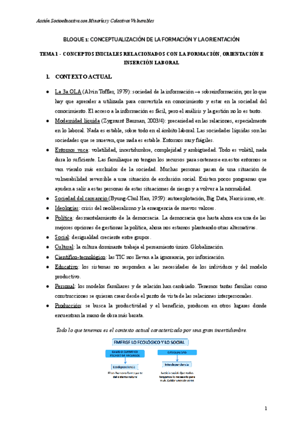 Miniatura del documento Resumen-apuntes-minorias.pdf