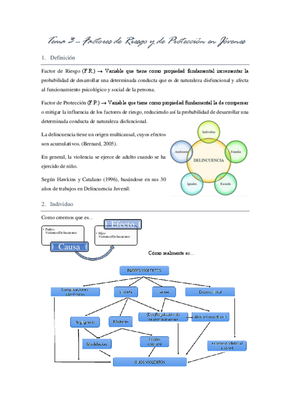 Miniatura del documento Tema-3-Factores-de-riesgo-y-de-proteccion-en-jovenes-FINAL.pdf