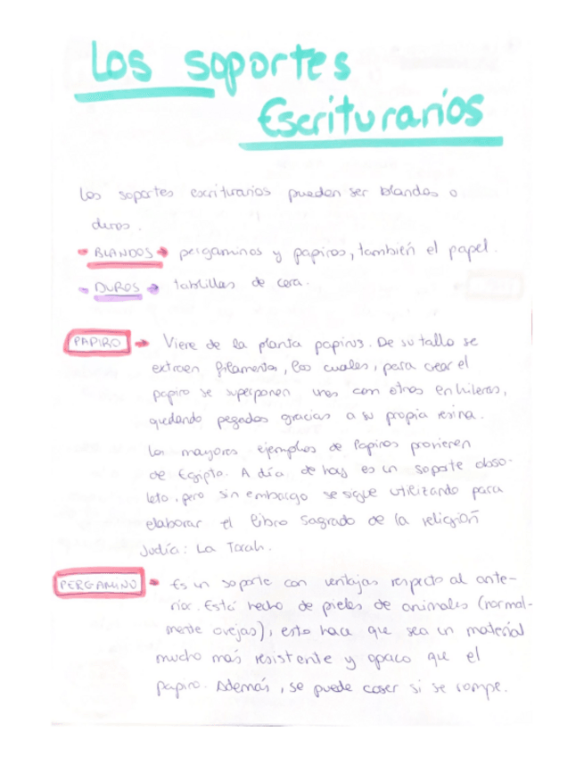 Miniatura del documento Soportes-escriturarios.pdf