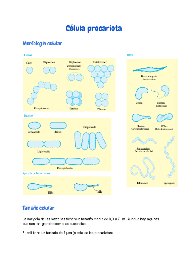 Miniatura del documento 3.pdf