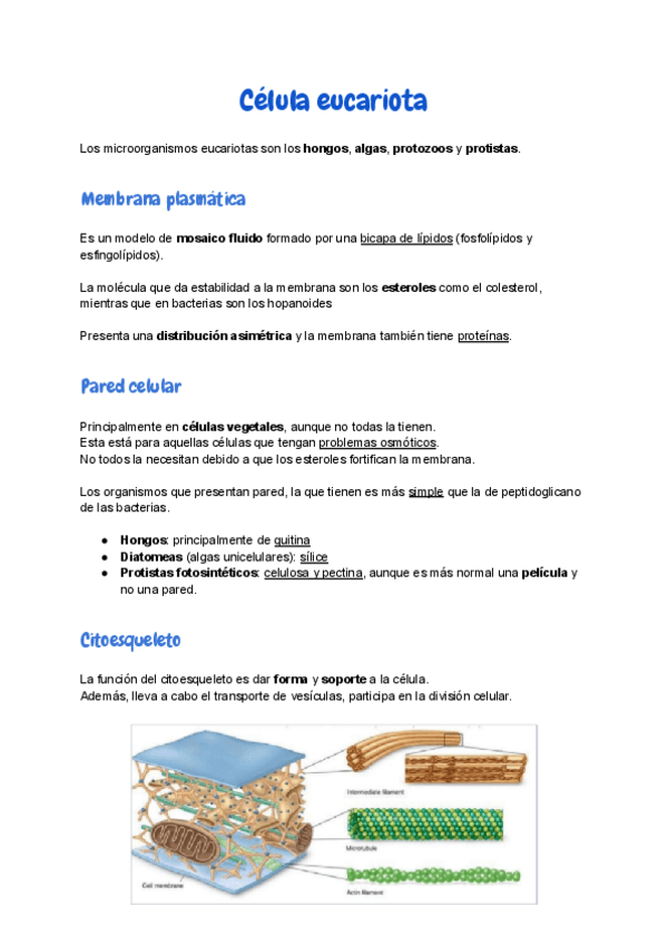 Miniatura del documento 4.pdf