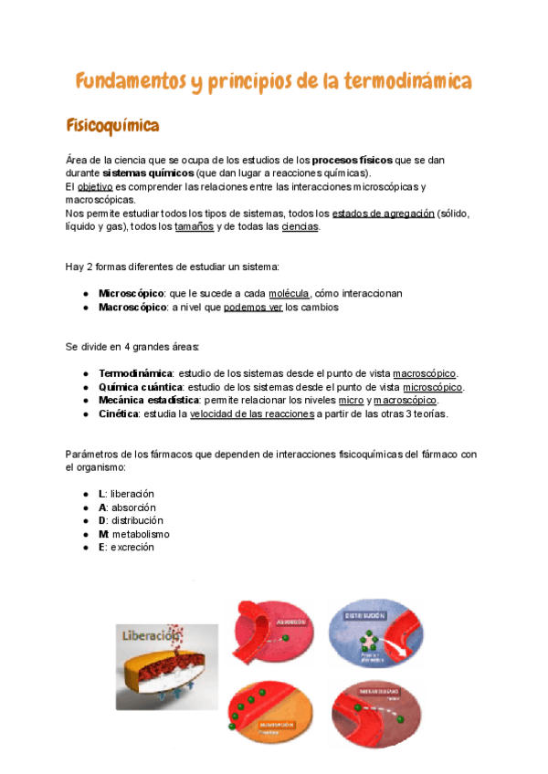 Miniatura del documento 1.pdf