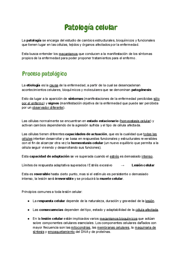 Miniatura del documento 1.pdf