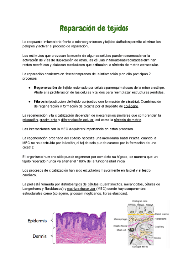 Miniatura del documento 3.pdf