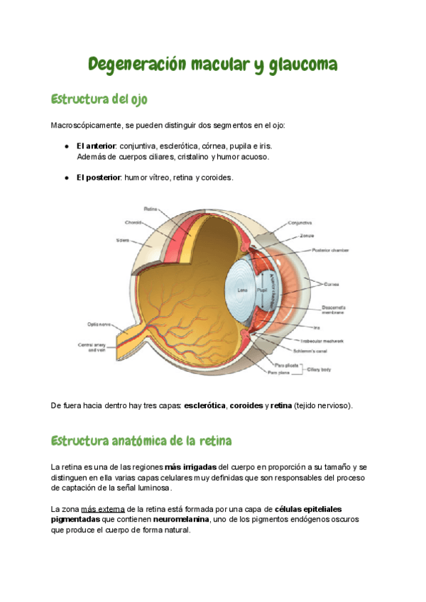 Miniatura del documento 8.pdf